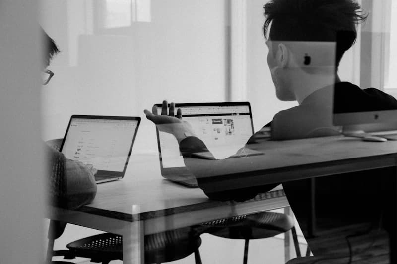Maintenance and support — web design and app development with reliable service in Rügen